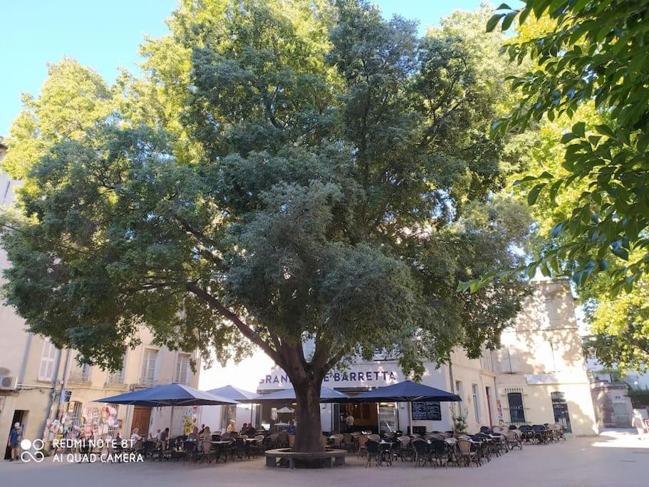 Bel Appartement Dans Centre Historique Avignon Exterior photo
